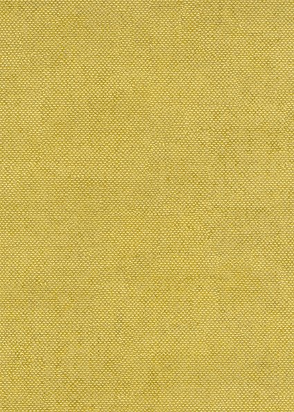 COLORLINE-DUVAR-KAGIDI-DUZ-YESIL-clr-005